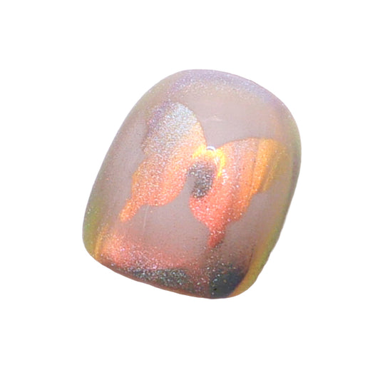 Press-On Nails: Butterfly Shadows